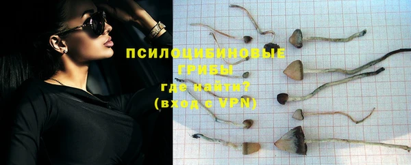 стафф Краснослободск
