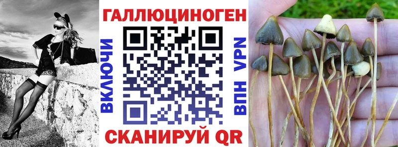 Псилоцибиновые грибы мицелий  Сосенский 
